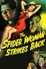 Возвращение женщины-паука (1946) кадры фильма смотреть онлайн в хорошем качестве