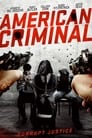 Смотреть «Американский преступник» онлайн фильм в хорошем качестве