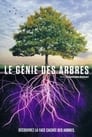 Смотреть «Деревья: гении мира природы» онлайн фильм в хорошем качестве