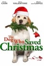 Собака, спасшая Рождество (2010) кадры фильма смотреть онлайн в хорошем качестве