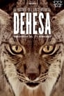 Дехеса: Лес пиренейской рыси (2020) трейлер фильма в хорошем качестве 1080p
