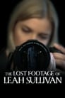 Смотреть «Потерянная видеозапись Лии Салливан» онлайн фильм в хорошем качестве