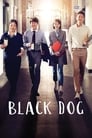 Смотреть «Чёрный пёс» онлайн сериал в хорошем качестве
