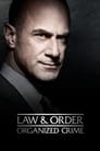 Смотреть «Закон и порядок: Организованная преступность» онлайн сериал в хорошем качестве