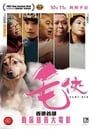 Смотреть «Защитники собак» онлайн фильм в хорошем качестве
