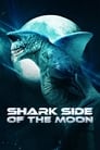 Смотреть «Акулья сторона Луны» онлайн фильм в хорошем качестве