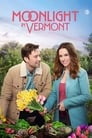 Смотреть «Лунный свет в Вермонте» онлайн фильм в хорошем качестве