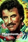Частный детектив Магнум (1980) кадры фильма смотреть онлайн в хорошем качестве