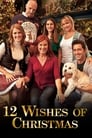 12 Рождественских желаний (2011) кадры фильма смотреть онлайн в хорошем качестве